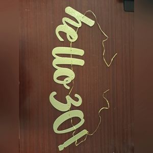 Hello 30 Party Decorations